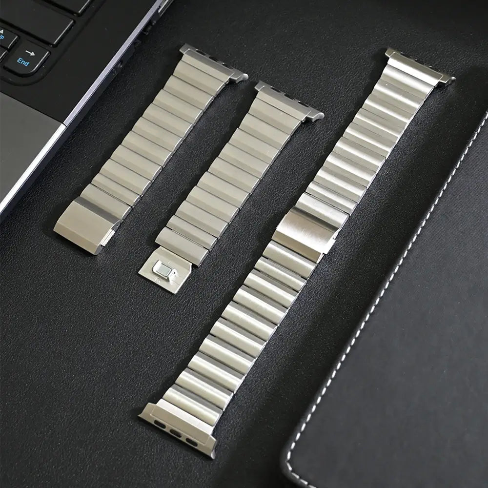 WatchBand Magnetic Titanium